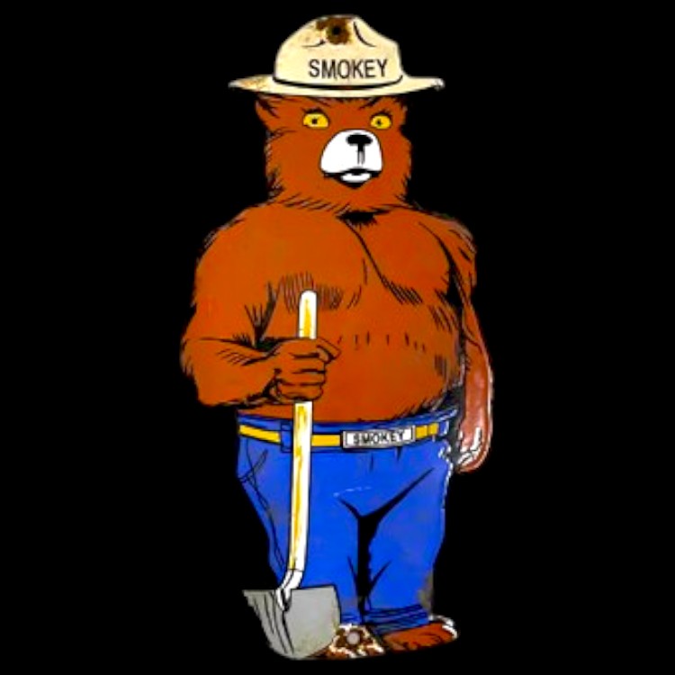Smokey the Bear Die Cut Porcelain Vintage Metal Sign